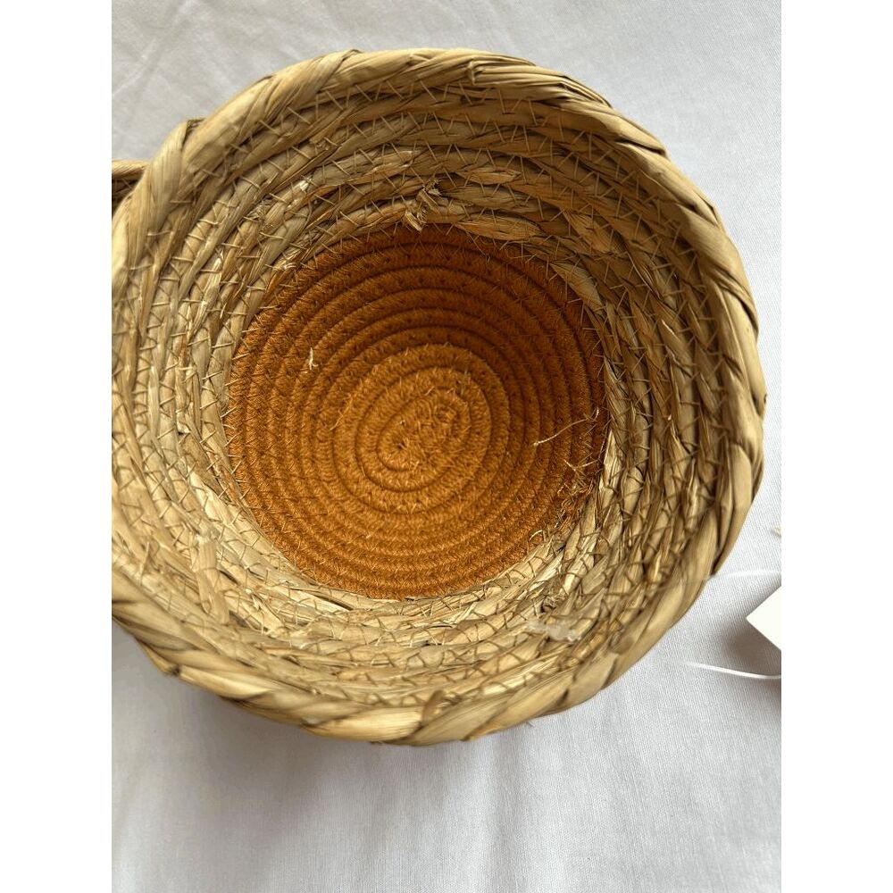 Two-Tone Tan Woven Basket Set, Small 5.5x4 Inches, Plants, Decoration - Picture 3 of 5